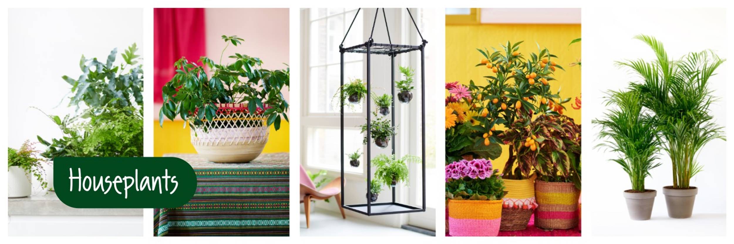Bouquet care tips - Lokaler Florist
