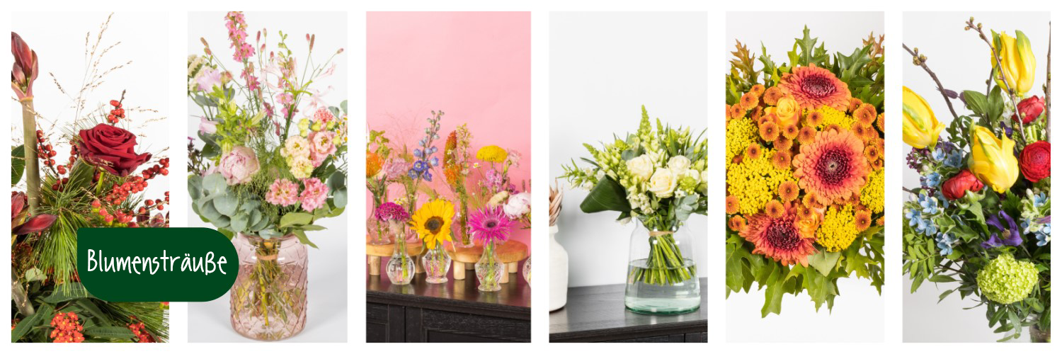 Pflegetipps Blumenstrauß & Zimmerpflanzen - Lokaler Florist