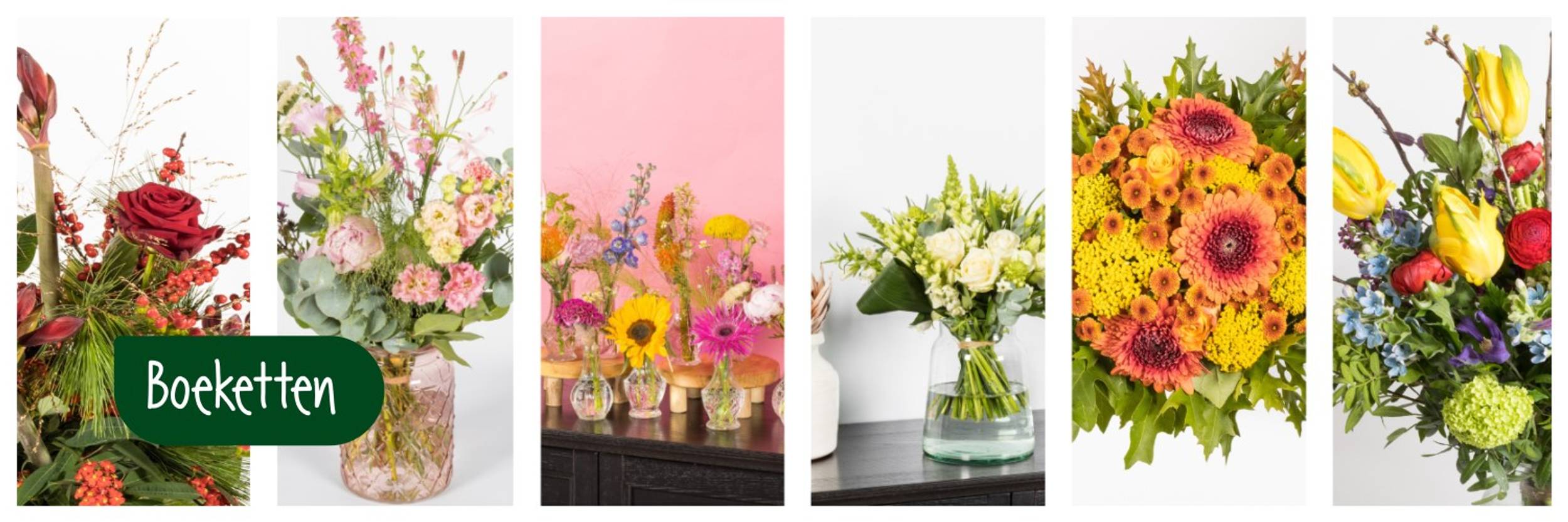 Verzorgingstips boeketten & kamerplanten - Lokaler Florist