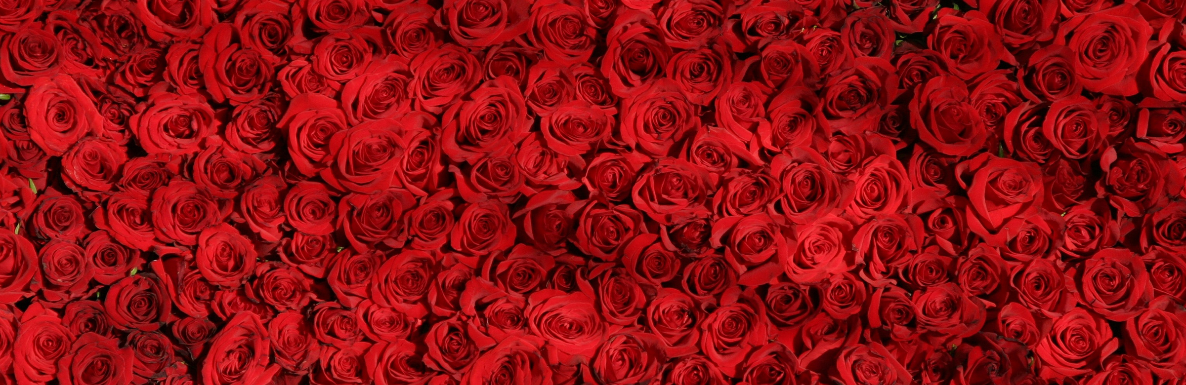 Occasion bouquet