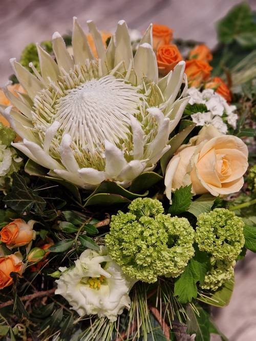 Image - Tropical Vibes