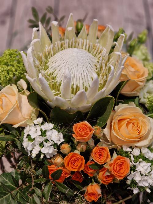 Image - Tropical Vibes