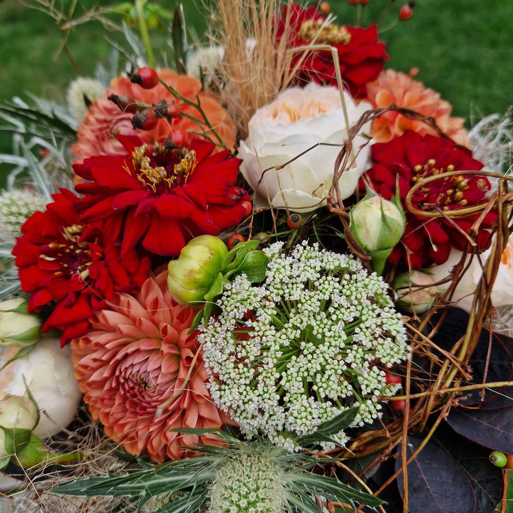 Mr. Distel & Mrs. Rose - zoom