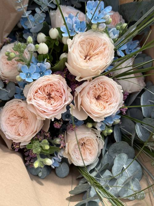 Image - Zarte Eleganz - GartenRosen