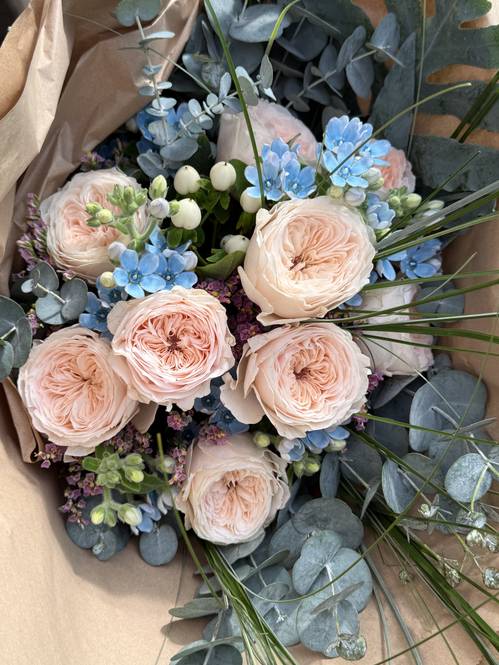 Zarte Eleganz - GartenRosen