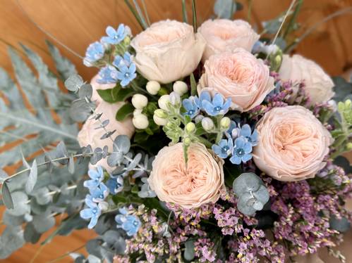 Image - Zarte Eleganz - GartenRosen