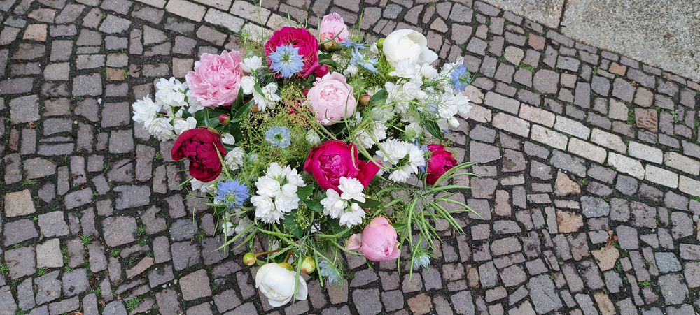 Feier den sommer - zoom Feier den sommer - zoom