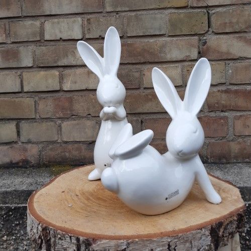 Hase fabrio - tiziano