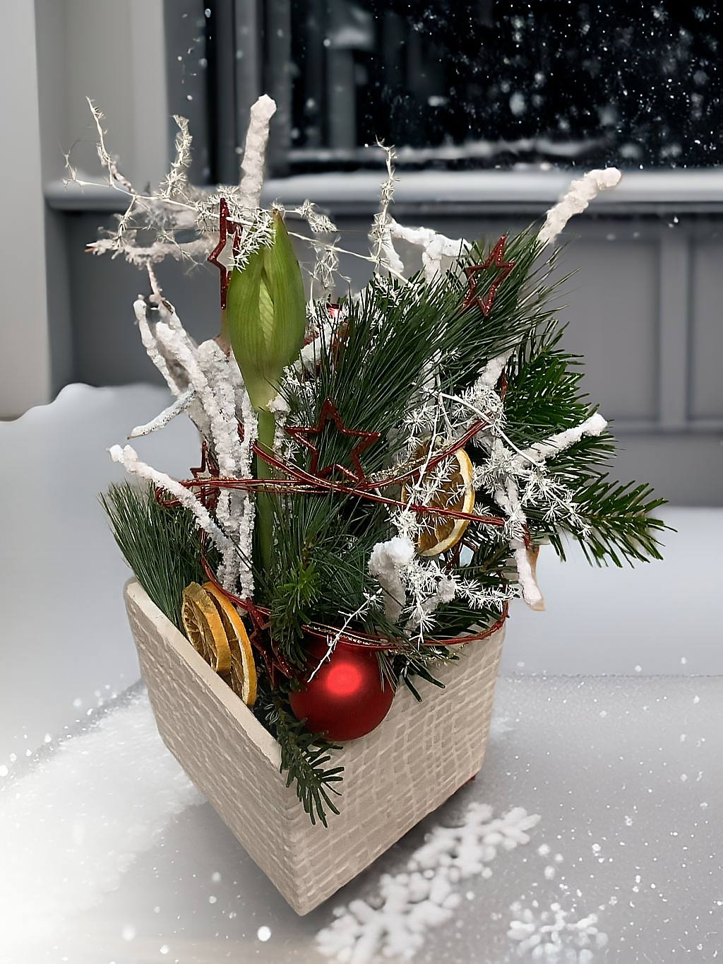 Amaryllis im Topf - zoom