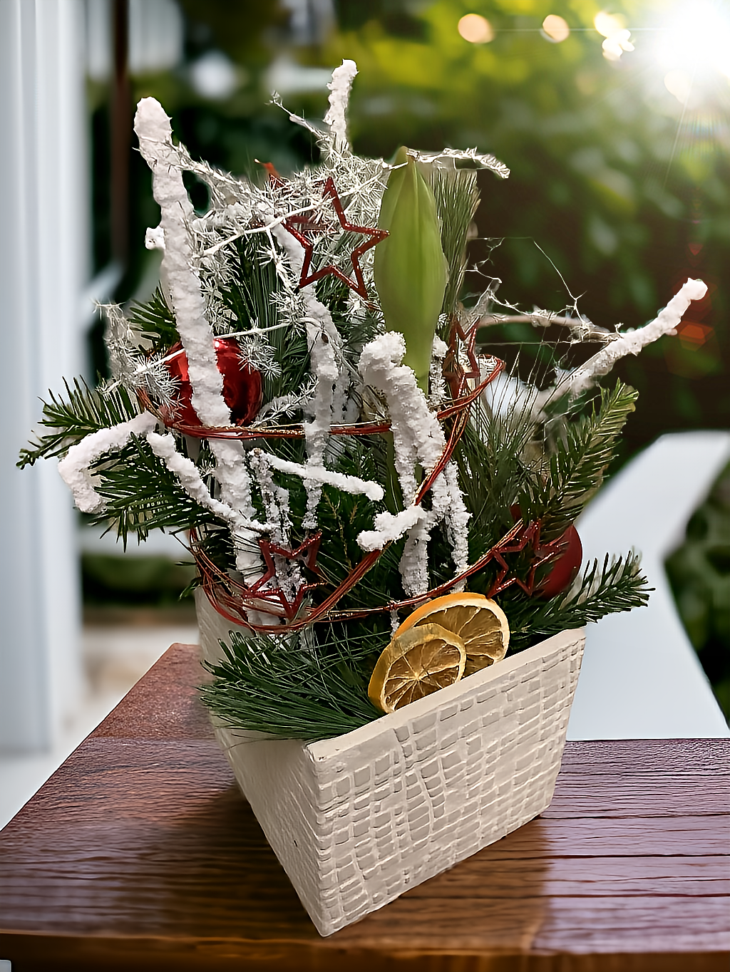 Image - Amaryllis im Topf