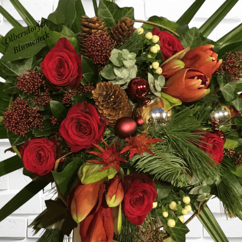 Image - Weihnachtliche Amaryllis in Rot