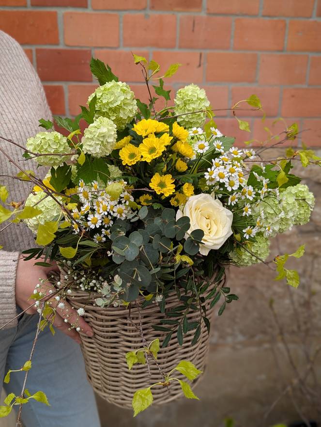 Image - Blumenabo - 6 Wochen Freude