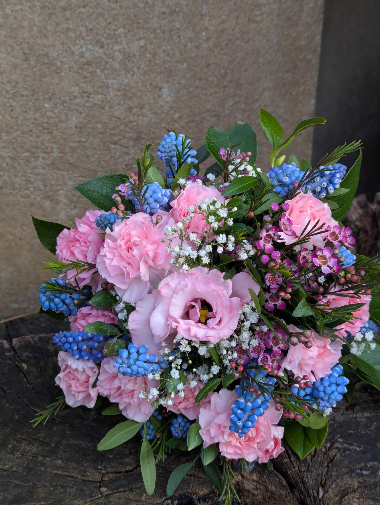 Klein & süß - zoom