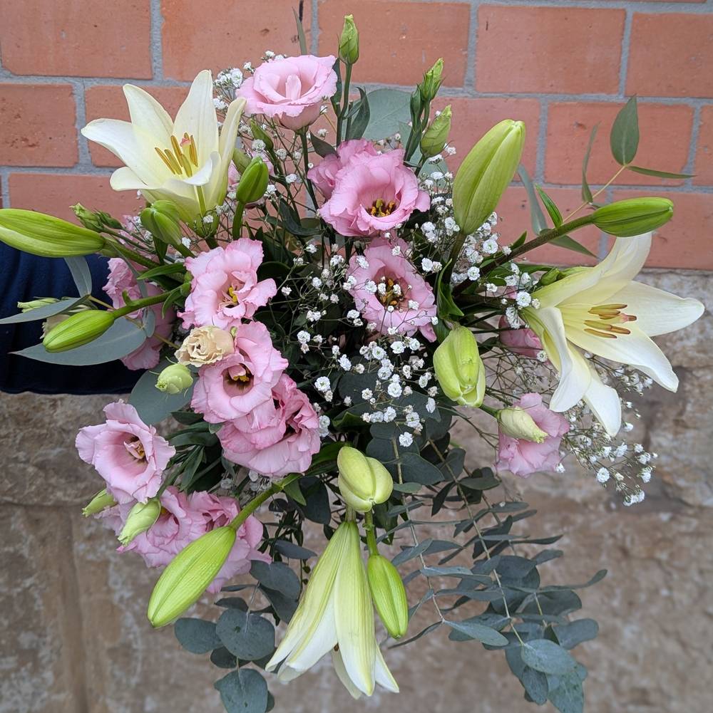 Sanfte Eleganz - zoom