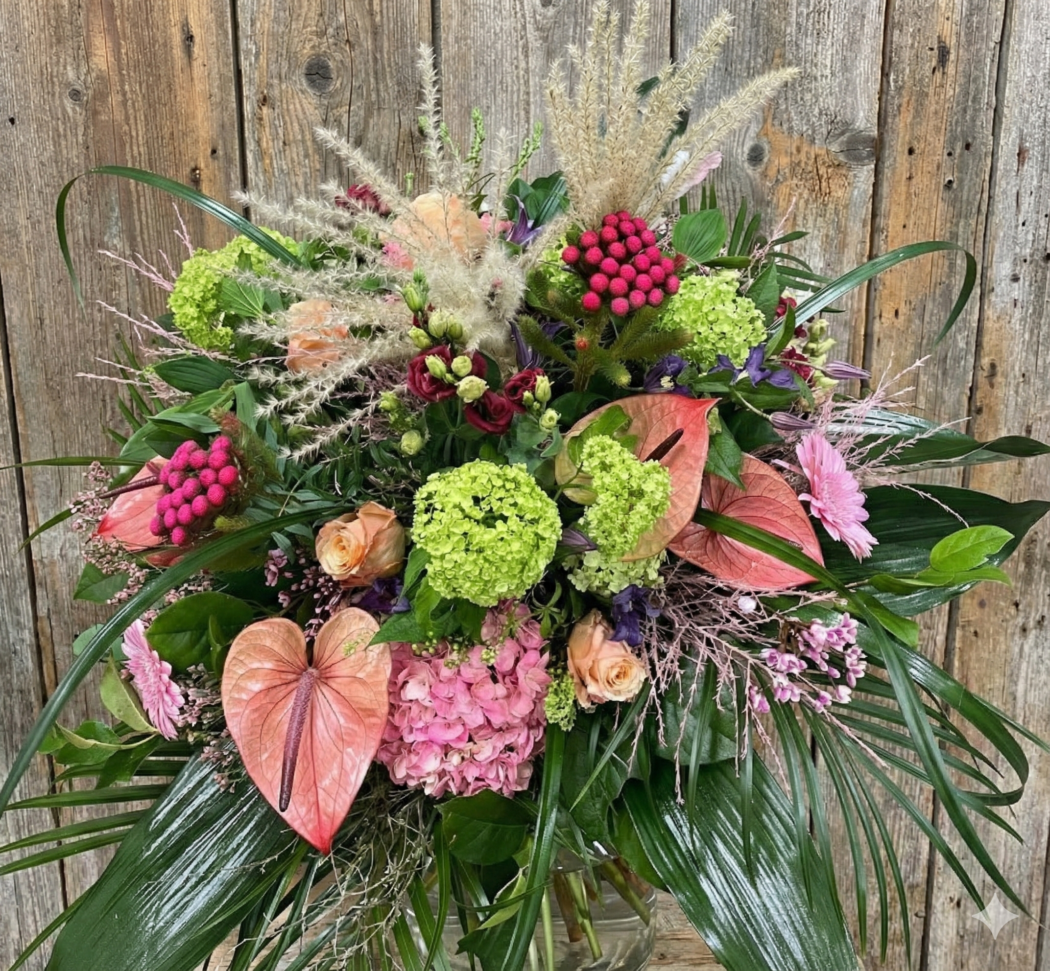 Image - Wurzener Farbrausch – Exotik trifft Herzblut