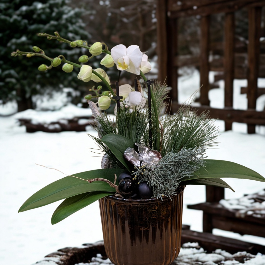 Image - Winter moment