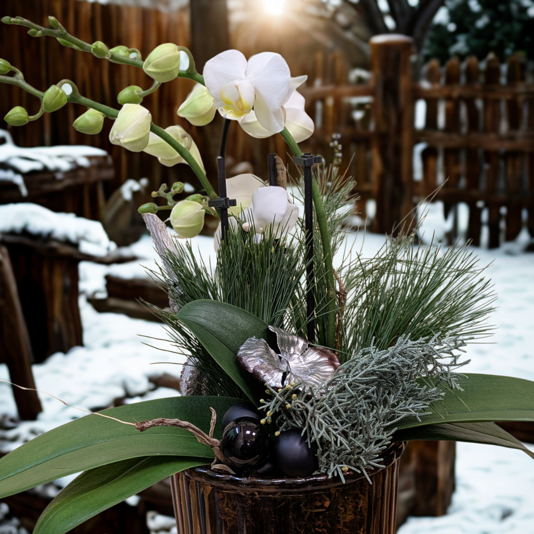 Winter moment - zoom