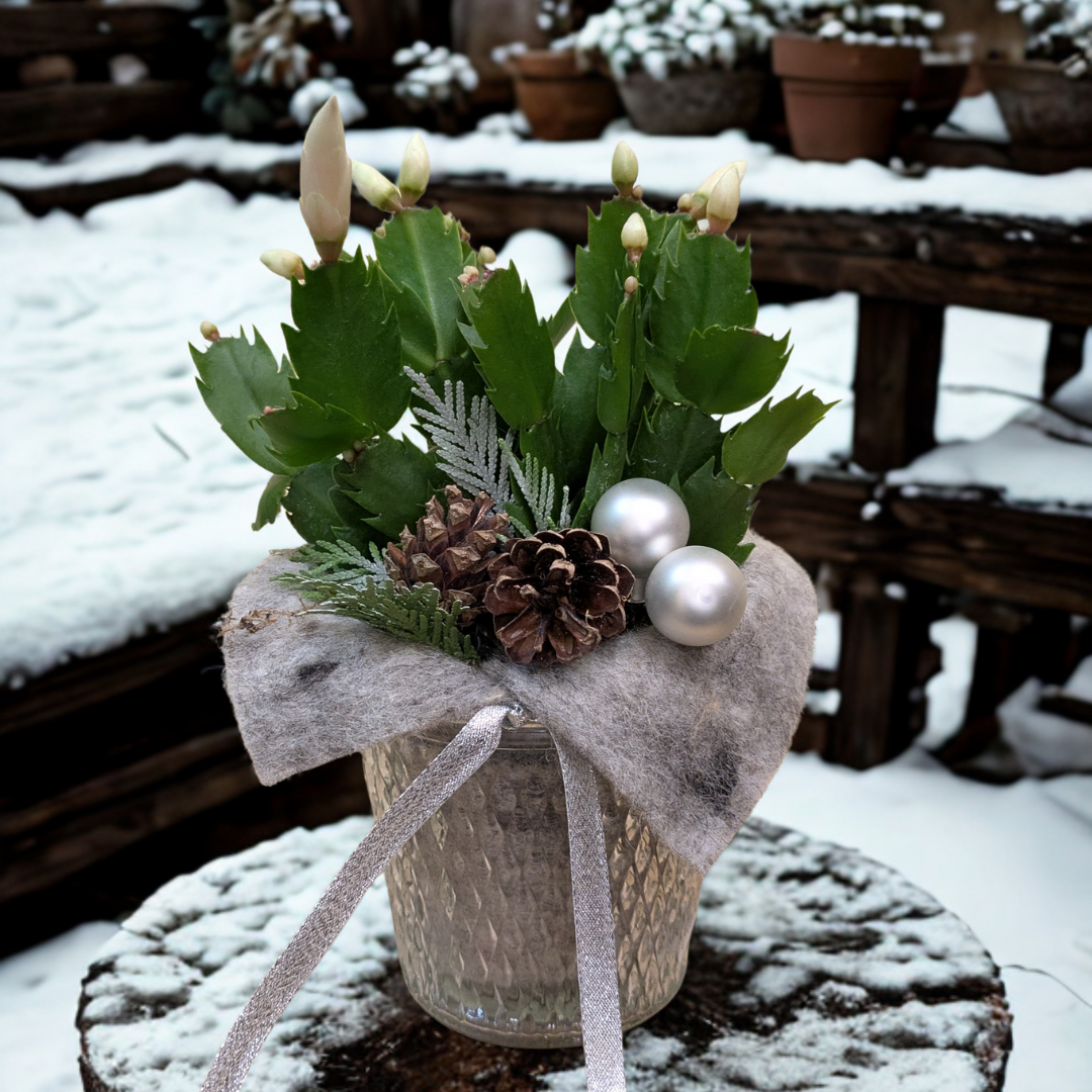 Image - Warm Winter Moments