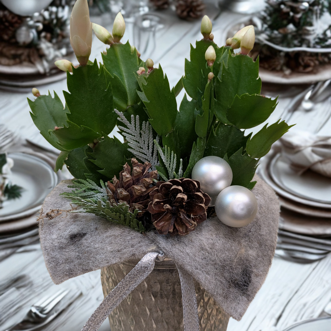 Warm Winter Moments - zoom