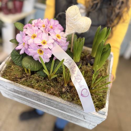 Pflanzschale Frühling