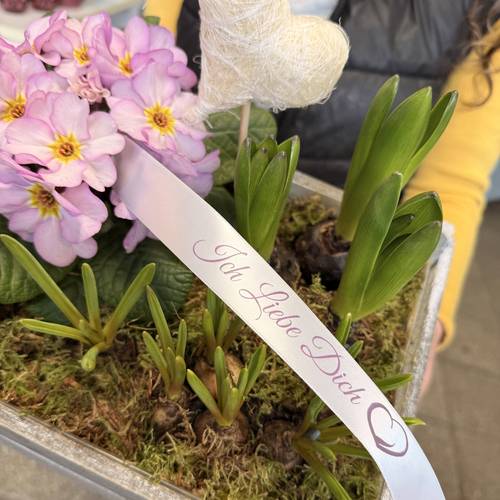 Image - Pflanzschale Frühling