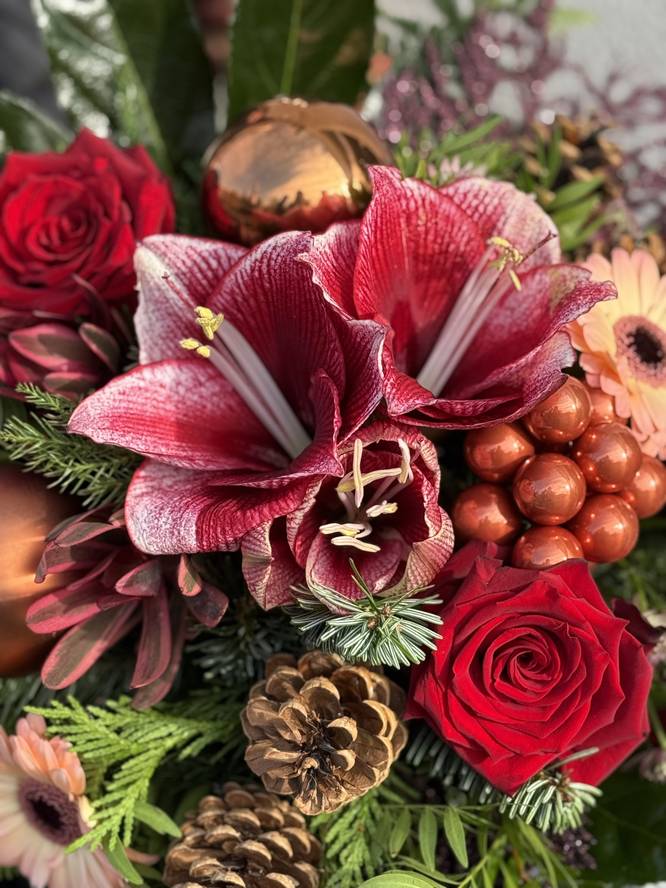 Image - Amaryllis in copper light