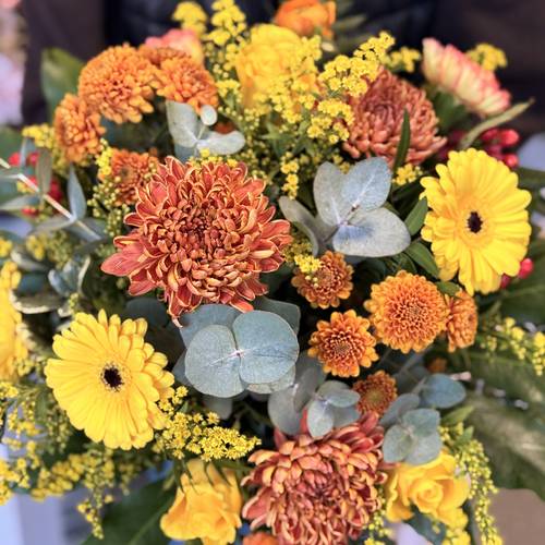 Image - Sonnengruß in Gelb