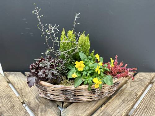 Image - Planting basket/bowl