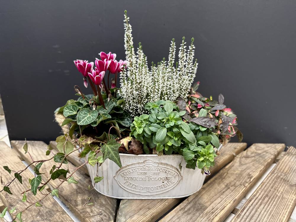 Planting basket/bowl - zoom Planting basket/bowl - zoom