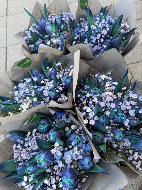 Image - Bibble - Bouquet of tulips