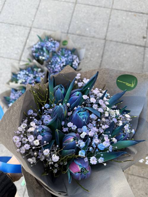 Bibble - Bouquet of tulips