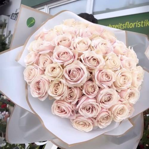 Rosenstrauß 'soft ones'