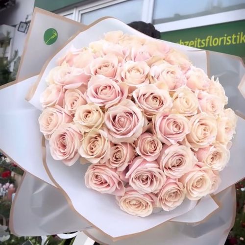 Rosenstrauß soft ones