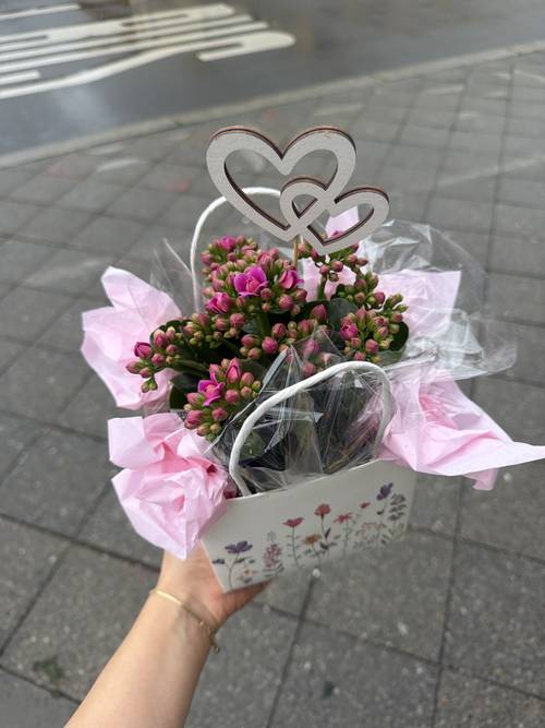 Image - Small rose pot / calancho pot in bag