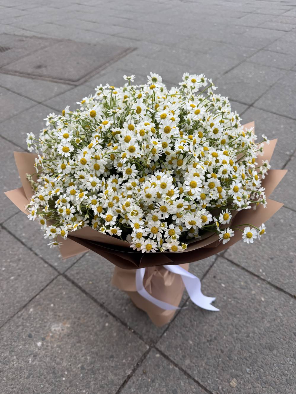 Daisy Cloud Mono Bouquet - zoom