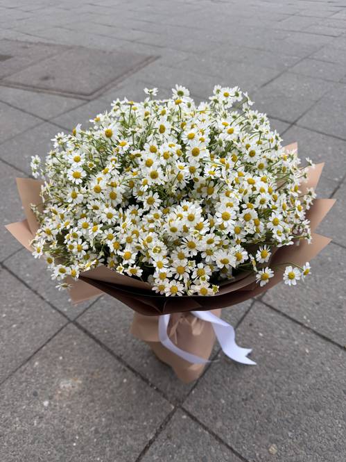 Daisy Cloud Mono Bouquet
