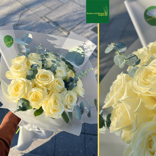 Rosenstrauß soft whisper