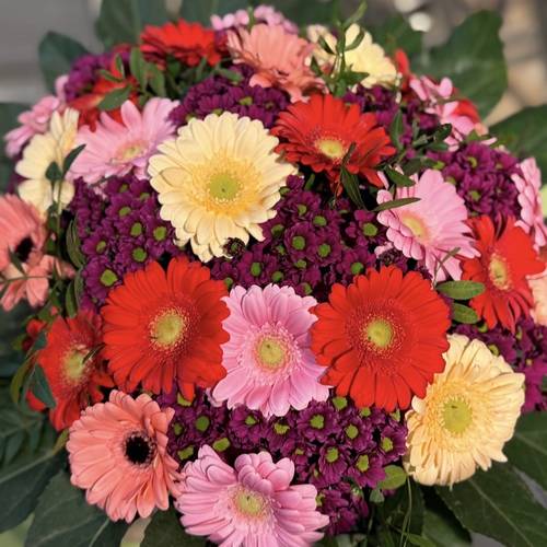 Image - Gerberaboeket Kunterbunt