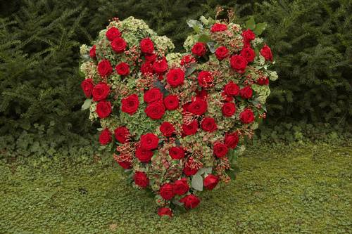 Herz Rose