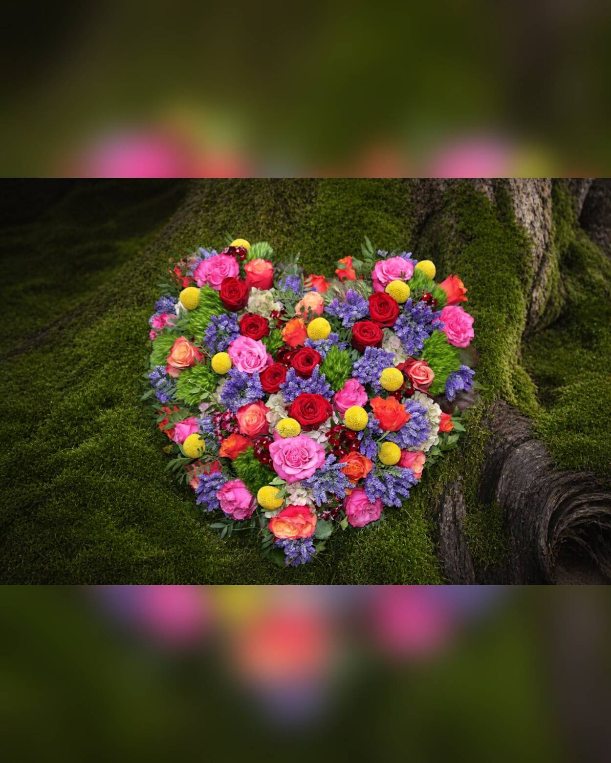 Colorful Heart - zoom