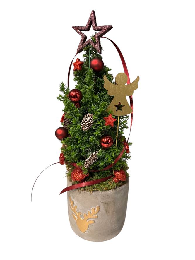 Image - Geschmücktes Bäumchen