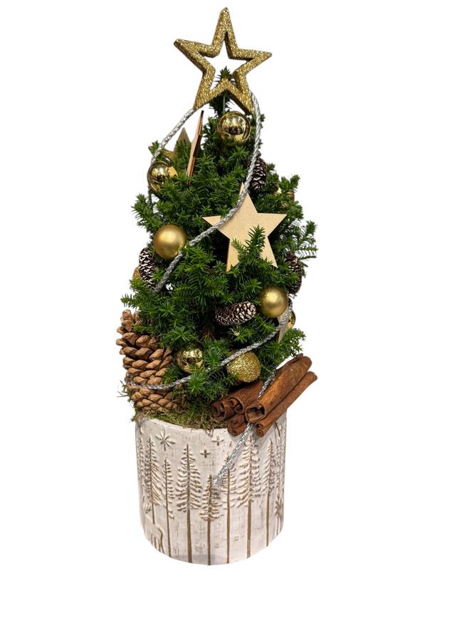 Geschmücktes Bäumchen