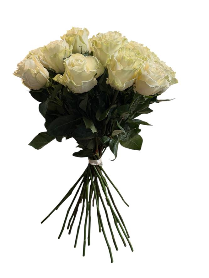 Weisse Rosen