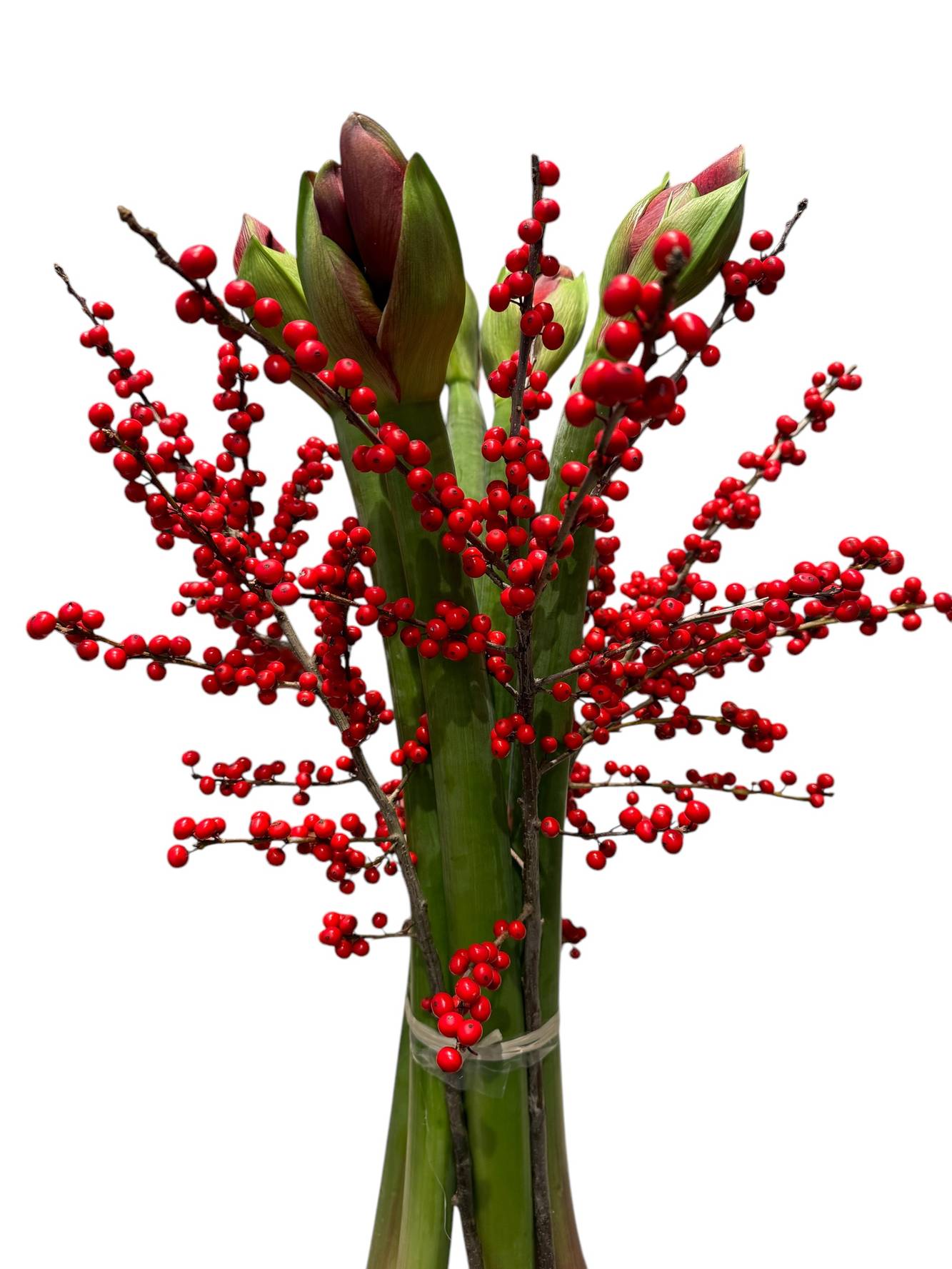 Puristic bouquet of red amaryllis and holly branches - zoom Puristic bouquet of red amaryllis and holly branches - zoom