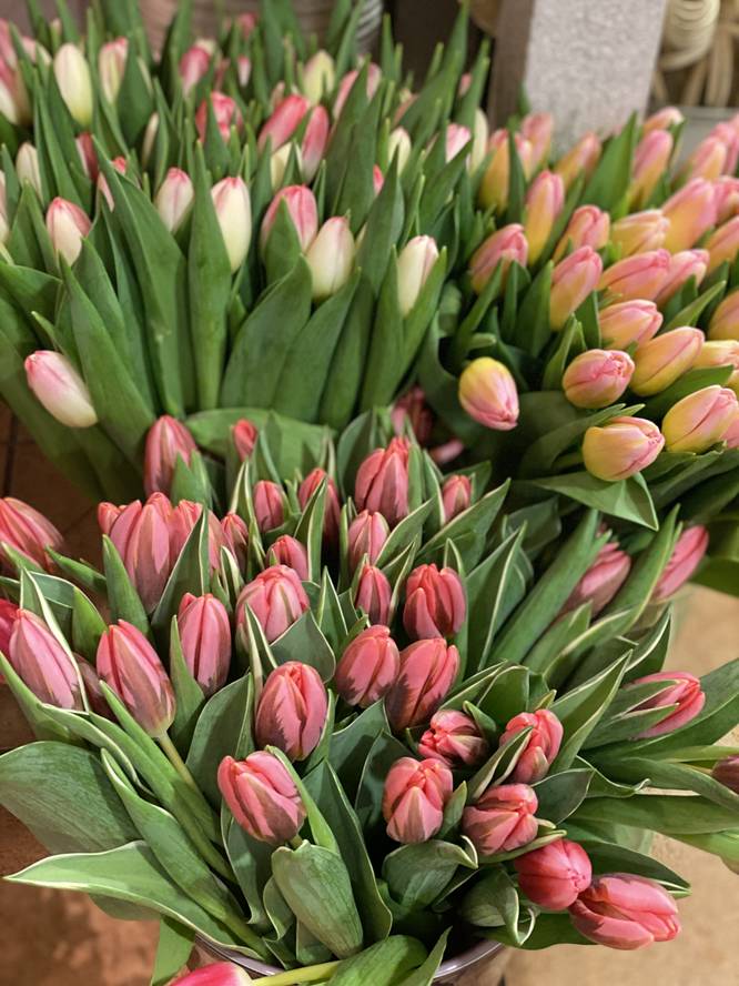 Boeket tulpen