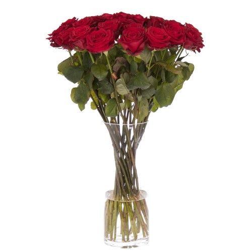 Roter rosenstrauß Roter rosenstrauß