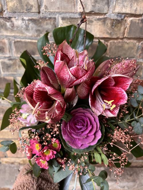 Winterstrauß Amaryllis