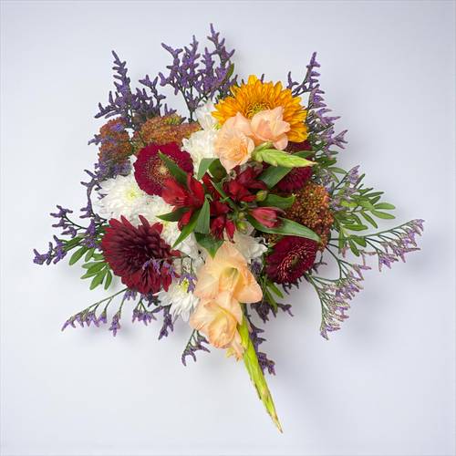 Herbstfreude Herbstfreude