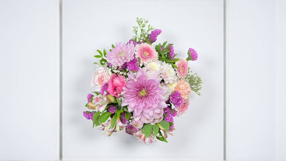 Rosa Traum  - zoom Rosa Traum  - zoom