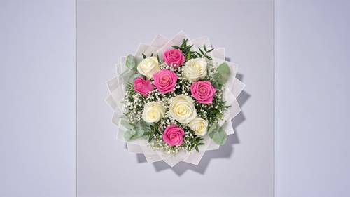 Weiß-Rosa Harmonie Weiß-Rosa Harmonie